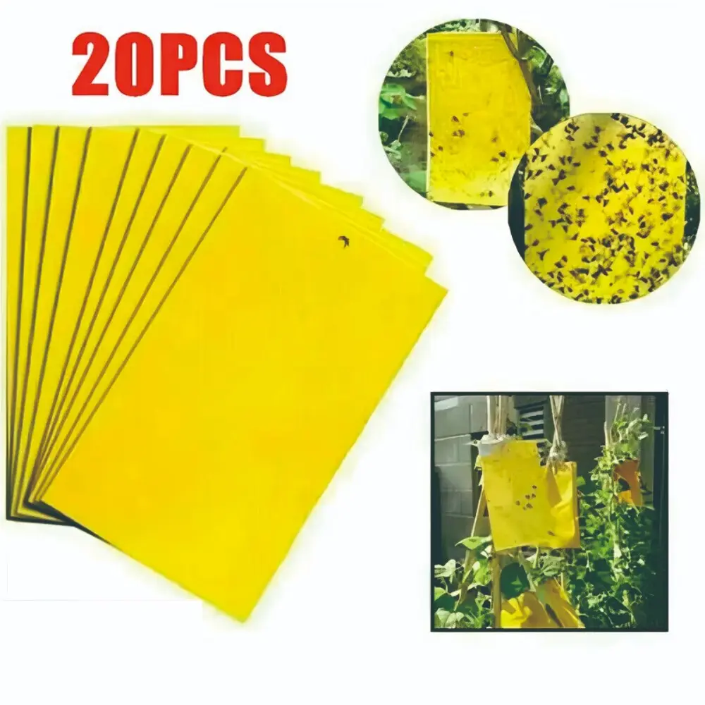 20pcs Strong Adhesive Board Fruit Fly & Gnat Sticky Traps, Insect Trap – Easy Bug Catcher Fruit Fly Killer for Indoor Plants & Kitchen, Home Pest Control