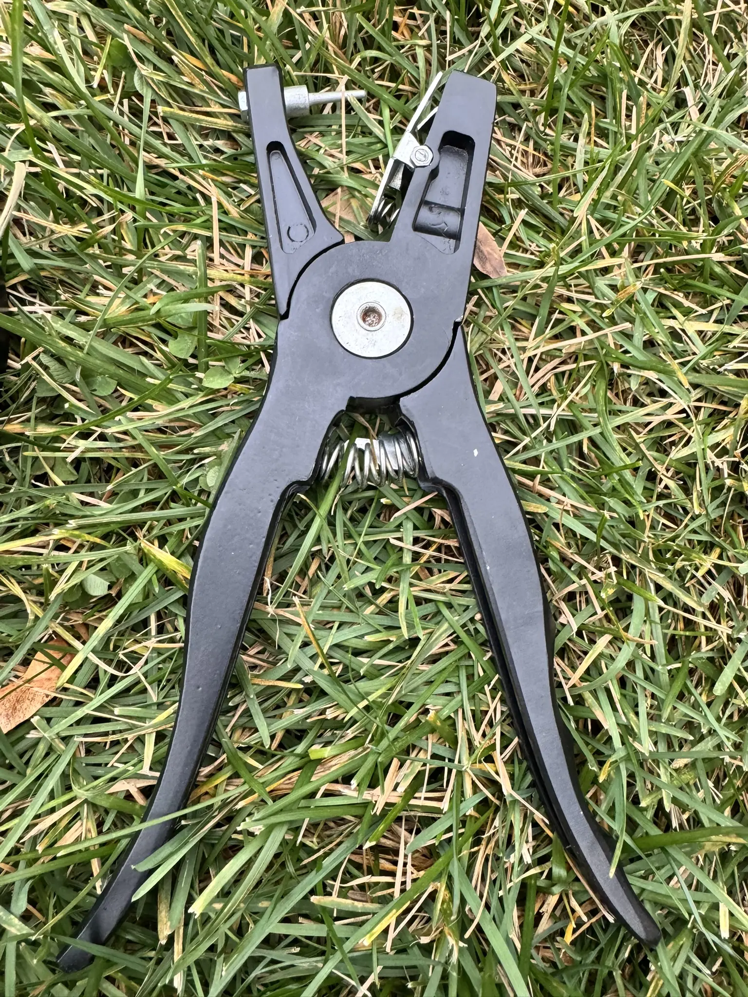 Livestock Ear Tag Applicator Cattle Ear Tagger Cow Ear Tag Pliers Pig Clamp Animal 9.8" inch