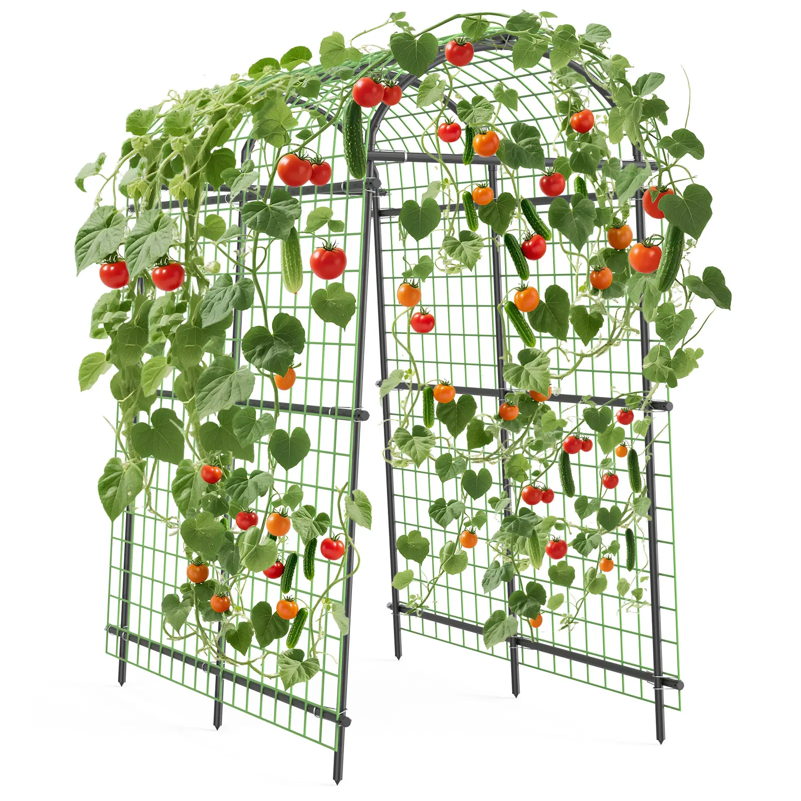 Garden Arch Trellis – Features: Extra Tall 7.5 FT, Adjustable Width, Polyethylene-Coated Steel, Weather-Resistant, Includes Netting – Ideal for Climbing Plants, Vegetables, Flowers, Vines – Outdoor Arbor for Weddings, Events, Garden, Backyard, or Pathway