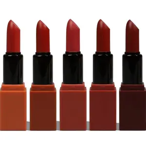 Matte Lipstick Makeup Set, Natural Nude Lipstick Velvet Smooth Not Fade Waterproof Mini Lipstick Set (SET A)