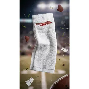 FSU Florida State Towel