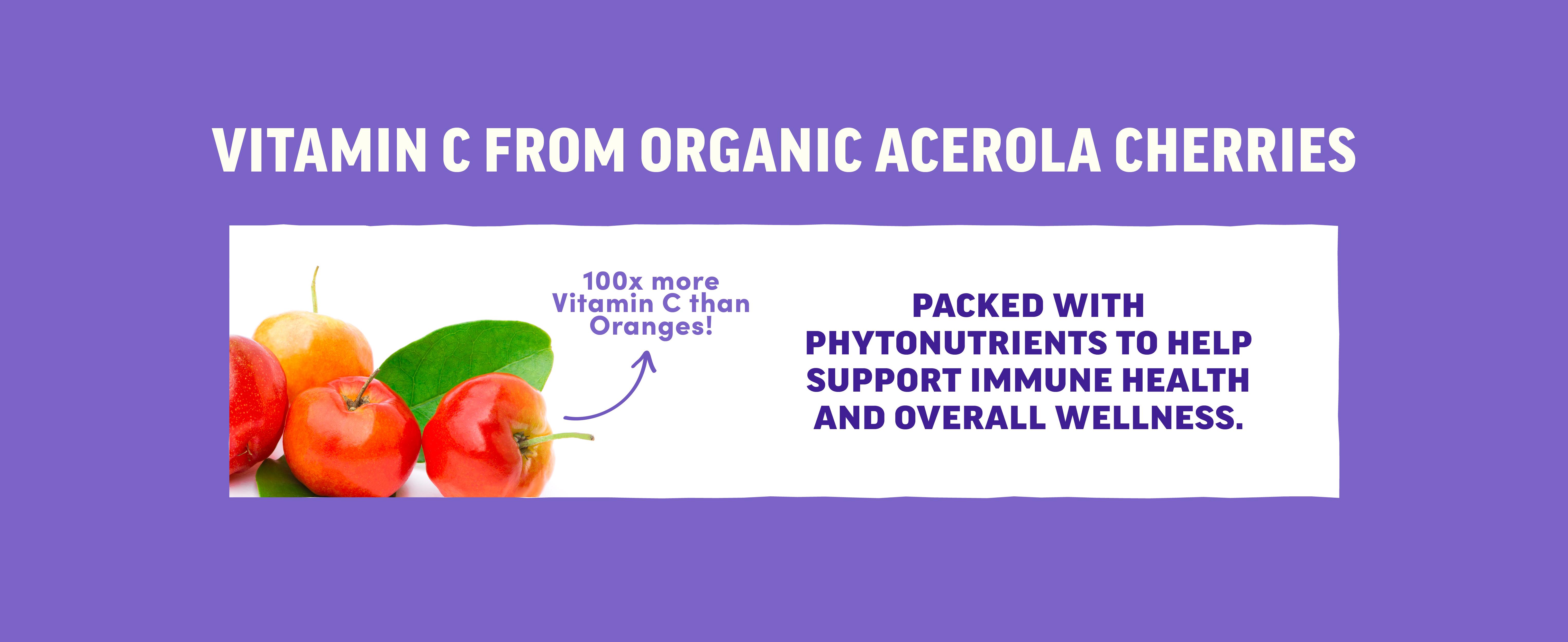 Llama Naturals Kids Elderberry Immunity Gummies - 35x Potent Organic Extract with Zinc & Vitamin C - Vegan, 60 Gummies for 30-Day Immune Support - Dentist Approved, Real Fruit Flavor