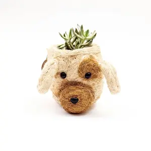 Mini Dog Planter