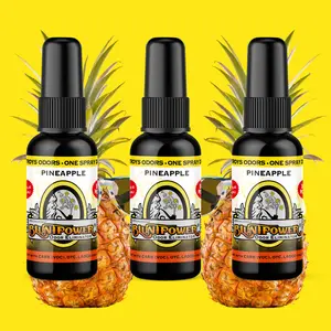 Pineapple Long Lasting Air Freshener Bundle (3 Pack)