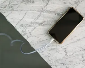 Petcords  6 ft. Dog & Cat Cord Pet Protector