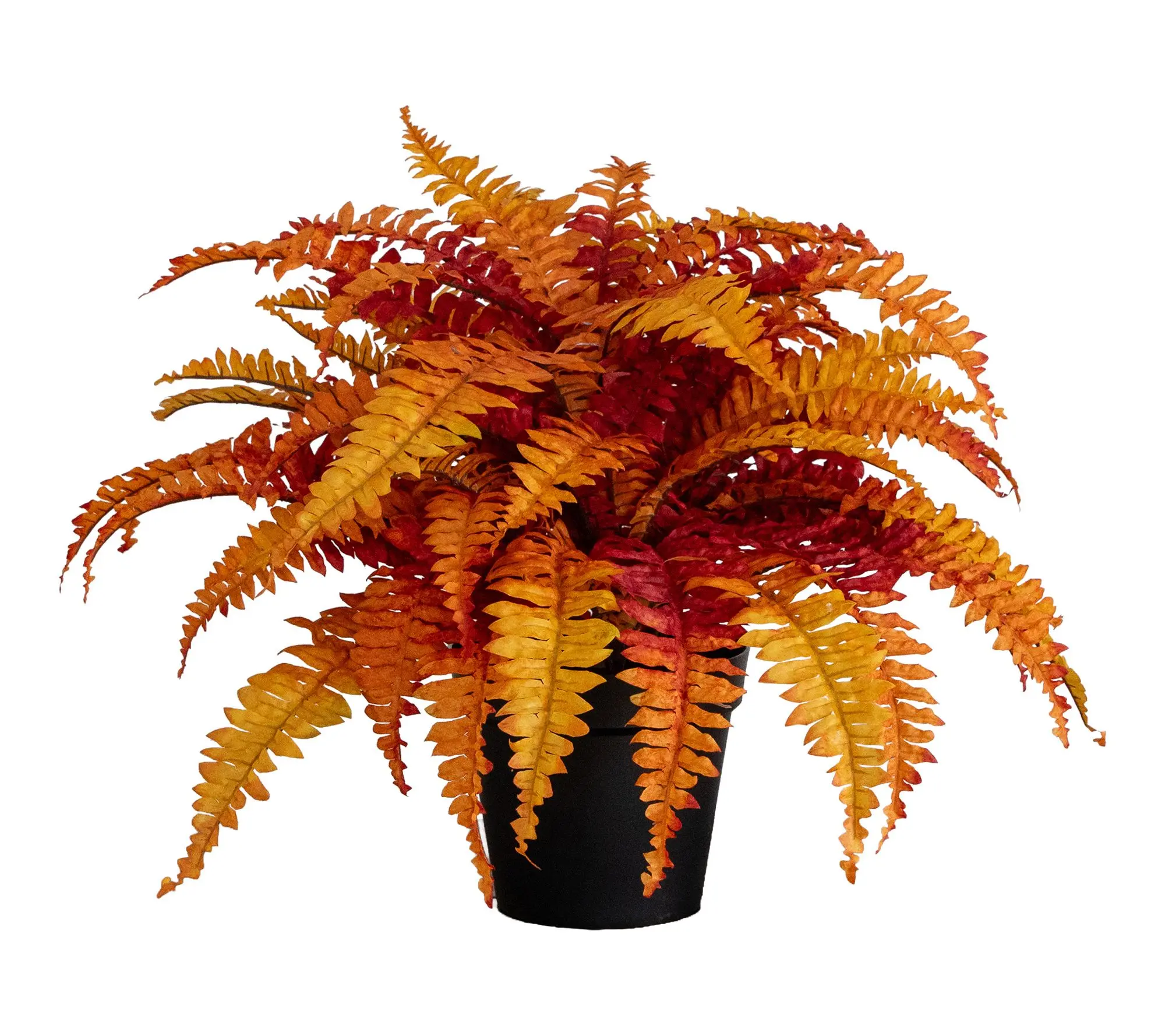 24-in Fall Boston Fern Plant by Nearly Natural