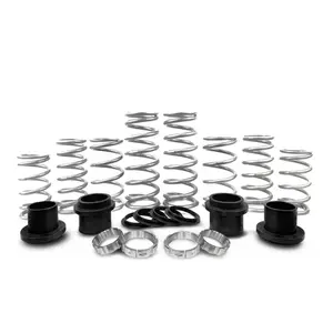 MTS Offroad Polaris RZR Spring Kit