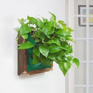 Wall-Mounted Living Plant Frame, Wooden Box Planter with Green Pothos, Indoor Vertical Garden Decor