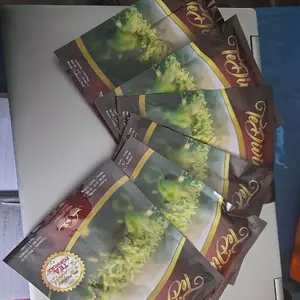 TeDivina Organic Natural Herbal Tea with Chaga & Ganoderma Medicinal Mushrooms for Health and Environmental Consciousness Beverage