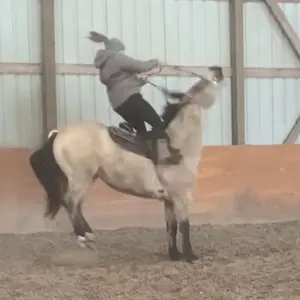 background preload poster image 