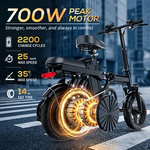 Adult Electric Bicycles Foldable 20mph Commuter Ebike with Detachable Battery Lightweight Folding Ebike 500W 48V 15AH 16 Stage Damping