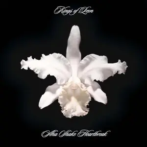 Kings of Leon - Aha Shake Heartbreak  [VINYL RECORD - LP] 180 Gram, Rmst, Reissue