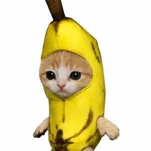 background preload poster image 