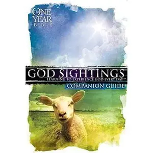 USED-God Sightings: The One Year Companion Guide by Group Publishing (Paperback)