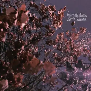 Eerie Wanda - Internal Radio - Lavender  [VINYL RECORD - LP] Colored Vinyl