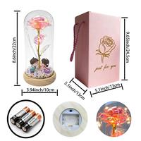 Pink Rose in Glass Dome