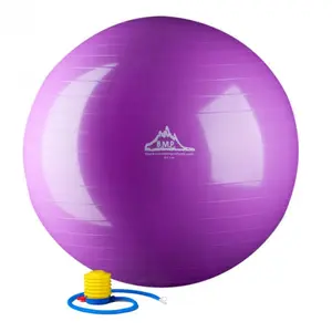 Black Mountain Products 55cm Purple Gym Ball 55 cm. Static Strength Exercise Stability Ball- Purple
