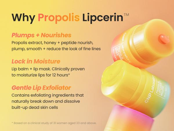 Honey Lip Butter SET (Honey, Fruity, Mojito, Spicy), Propolis Lipcerin, Hydrating, Gentle Exfoliation, Deep Nourish, Revitalizing Dry Lips, Shea Butter (0.5 fl.oz / 15ml*4) Korean Skincare, Comfort Lipcare, Lip Balm