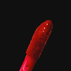 Kissable Company  Regal Red  matte finish lipstick