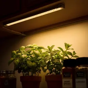 Plant Light Strip & Grow Lights for Indoor Plants, LED Full Spectrum Growing Lamp with 3/9/12H Auto Timer , 10-Level Dimmer, Dimmable for Seed Starting, Germination, Vegetables, Fruits, Flowers - Ideal for Indoor Green House Use