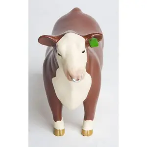 Little Buster Hereford Show Bull w/ Nose Ring