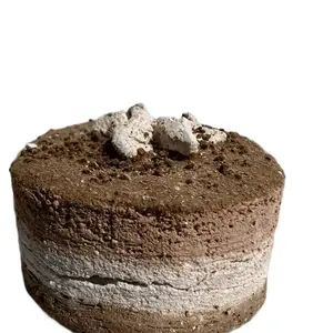 D- CRUJIDOS Clay Piece Canapé Made Out of Arcilla Arcoíris Caolin Rosa and Terron Miel Handcrafted Artisanal Item