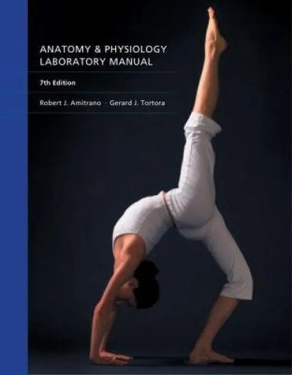 USED Book - Anatomy & Physiology Laboratory Manual by Robert Amitrano (Paperback) - english