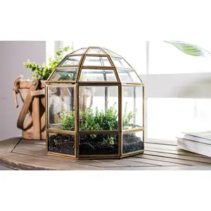 Urban Born Large Terrarium Birdcage, Glass and Metal Indoor Display Case, Unique Gift Idea, Succulent Container, Orchid Planter, Home Decor. UrbanBornShop