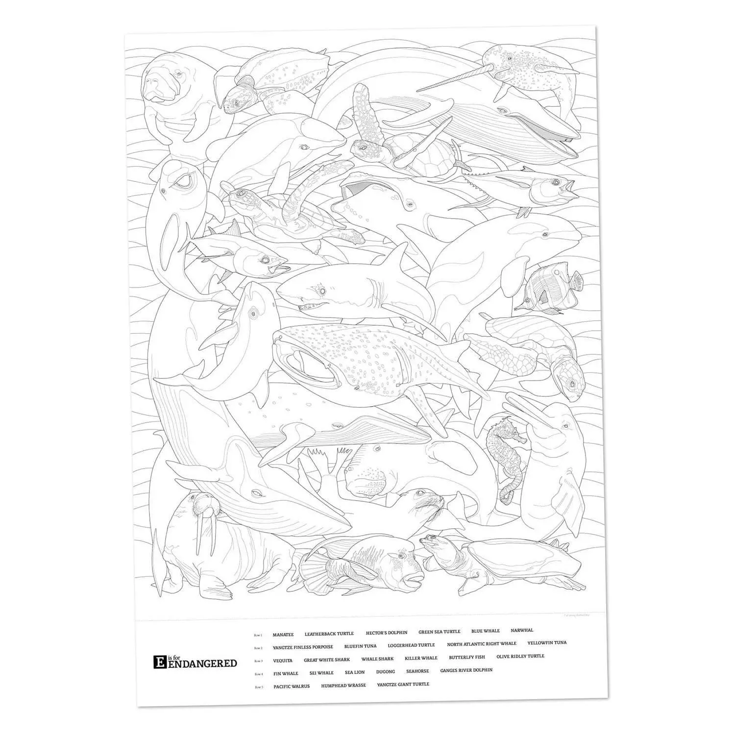 Magnificent Marine Giant 28"x40" Coloring Poster