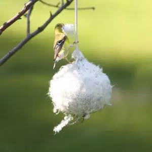 Nesting Ball