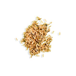 ALOHA Chocolate Mint Protein Bars - 12 Bars - Certified USDA Organic - 100% Plant-Based - 14g Of Protein - Only 3-5g of Real Sugar - Certified Vegan - Healthy Snack - No Sugar Alcohol Sweeteners