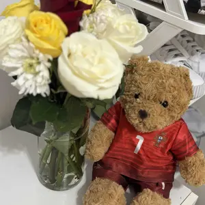 35cm UEFA Champions League Football Bear Plush Toy, Cuddly Teddy Bear with Soft Skin-Friendly No-Shedding Fabric, Removable Jersey Teddy Bear Doll, Perfect Gift for Fans