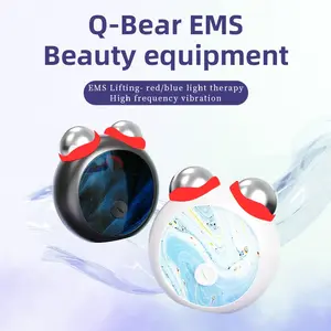 Portable EMS Face Import Device, Facial Massage Beauty Aid Instrument, Suitable for Face Neck Care, Home Use