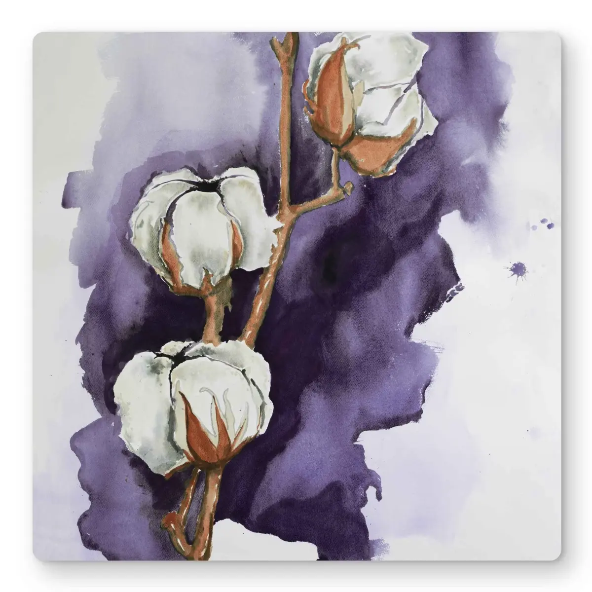 Begin Home Decor C1MP1616UWM0LJ 16 x 16 in. Cotton Flowers On Purple Background Wall Art - White Metal Print