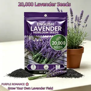 English Lavender Seeds 20,000 Seeds - Wildflower Seedsfor Planting Indoor/Outdoor, HighGermination Flower Seeds (Lavandulaangustifolia)