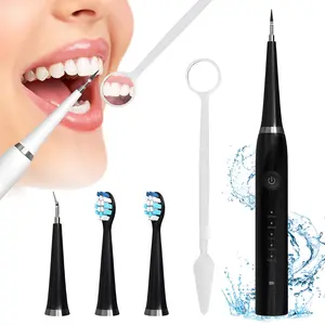 2 in 1 Sonic Electric Waterproof Tartar Remover Toothbrush with Replacements USB Rechargeable Home Travel Electric Toothbrush for Adults and Kids