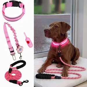 4pcs Dog Night Walking Collar & Flexi Leash Set, USB Rechargeable LED Collar, Harness, Poop Bag Dispenser, Ideal for Training, Hiking, -M