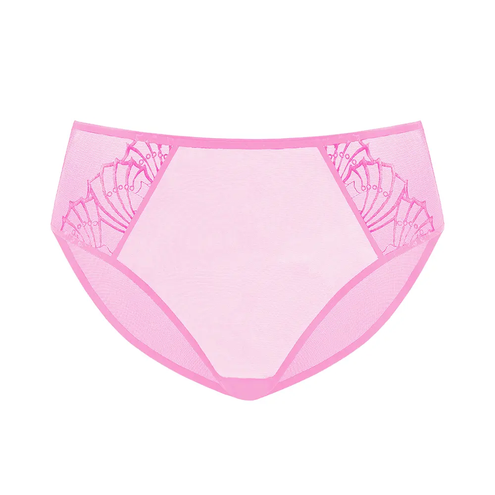 Hsia Pearl Shimmer Matching High Waisted Panty Bottom Seamless Soft Mesh Embroidered Front