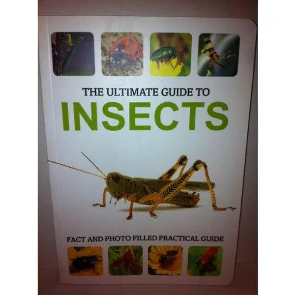 USED-The Ultimate Guide to Insects by Patrick Hook (Paperback)