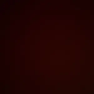 Product Review of Bread No-Tie Elastic Shoelaces – Slip-On Magic for Sneakers & Running Shoes from N**e