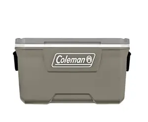 316 Series 70QT Hard Chest Cooler, Silver Ash