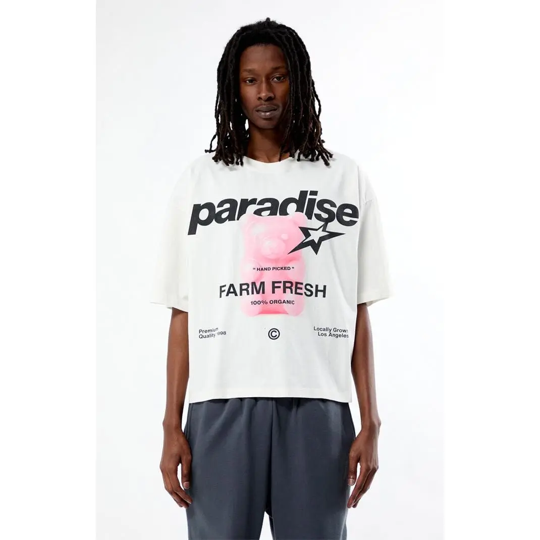 Pacsun Men's Paradise Cropped Boxy T-Shirt