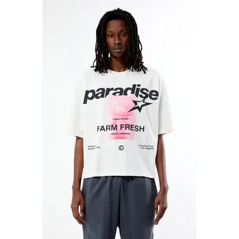Pacsun Men's Paradise Cropped Boxy T-Shirt