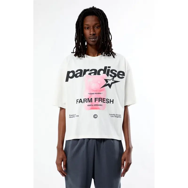 Pacsun Men's Paradise Cropped Boxy T-Shirt
