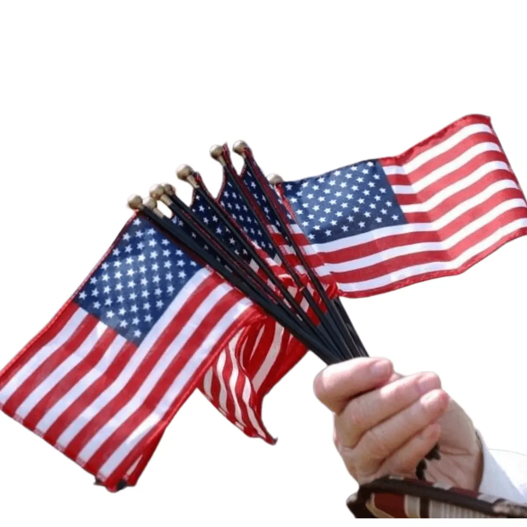 Annin Made in USA Bundle of 12 Handheld American Flags Decoration Banners