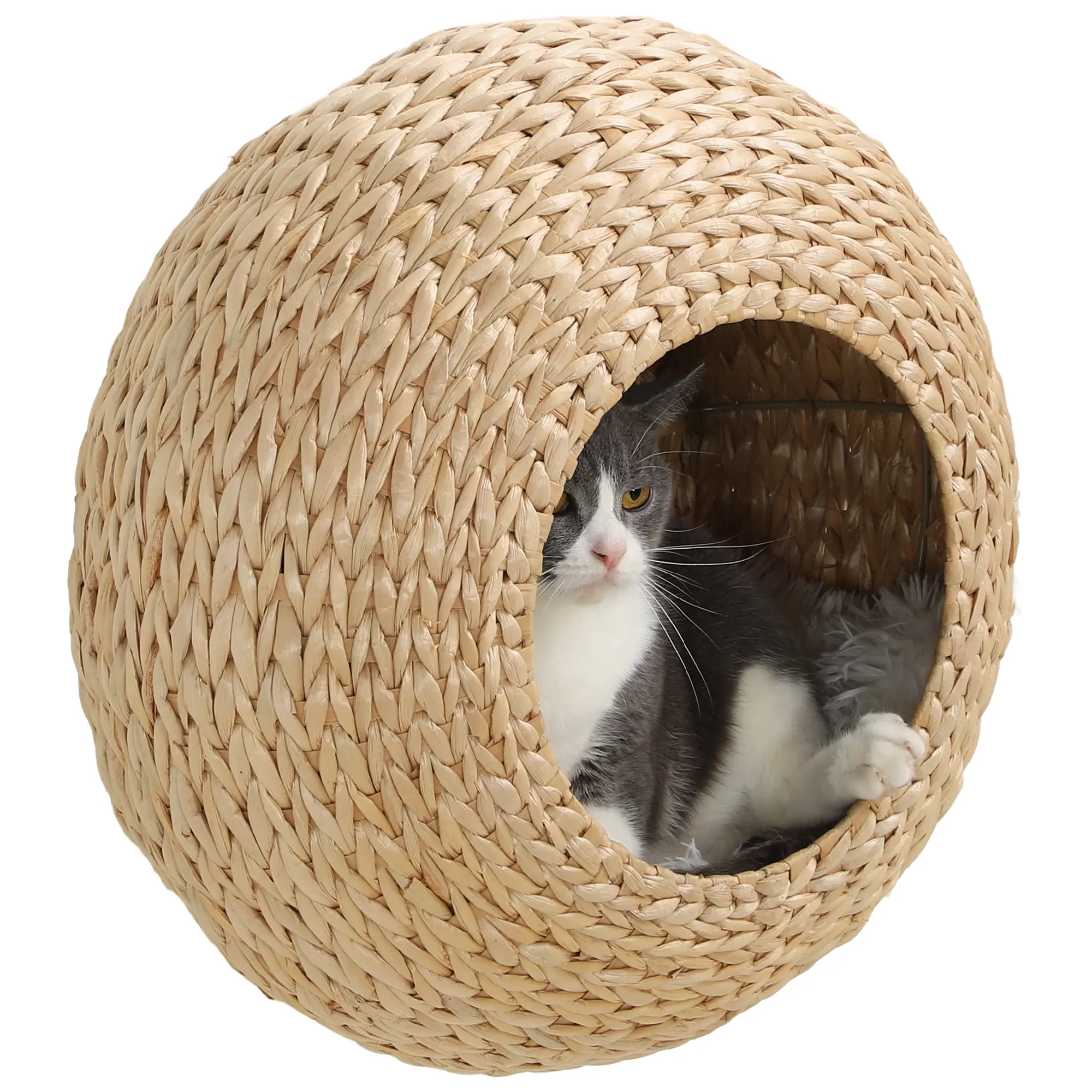 PawHut Cat Wall Furniture, Wall Mounted Cat Condo with Washable Cushion, Cat Wall Shelf for Indoor Cats Kittens, Natural Wood