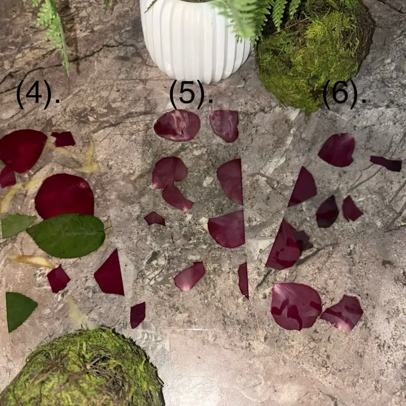 Options 4-6