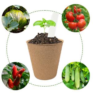 40Pcs 3.15 Inch Peat Pots, Biodegradable Eco-Friendly Round Plant Seedling Starters Kit, Seed Germination Trays with 10 Labels for Flower Vegetable Tomato Saplings & Herb Germination, Khaki