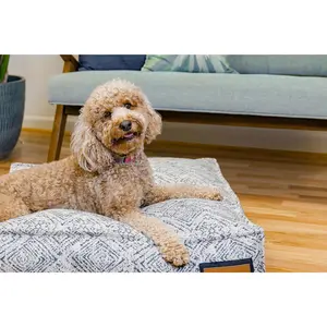 Lounger Pet Bed in Sapphire Spaniel