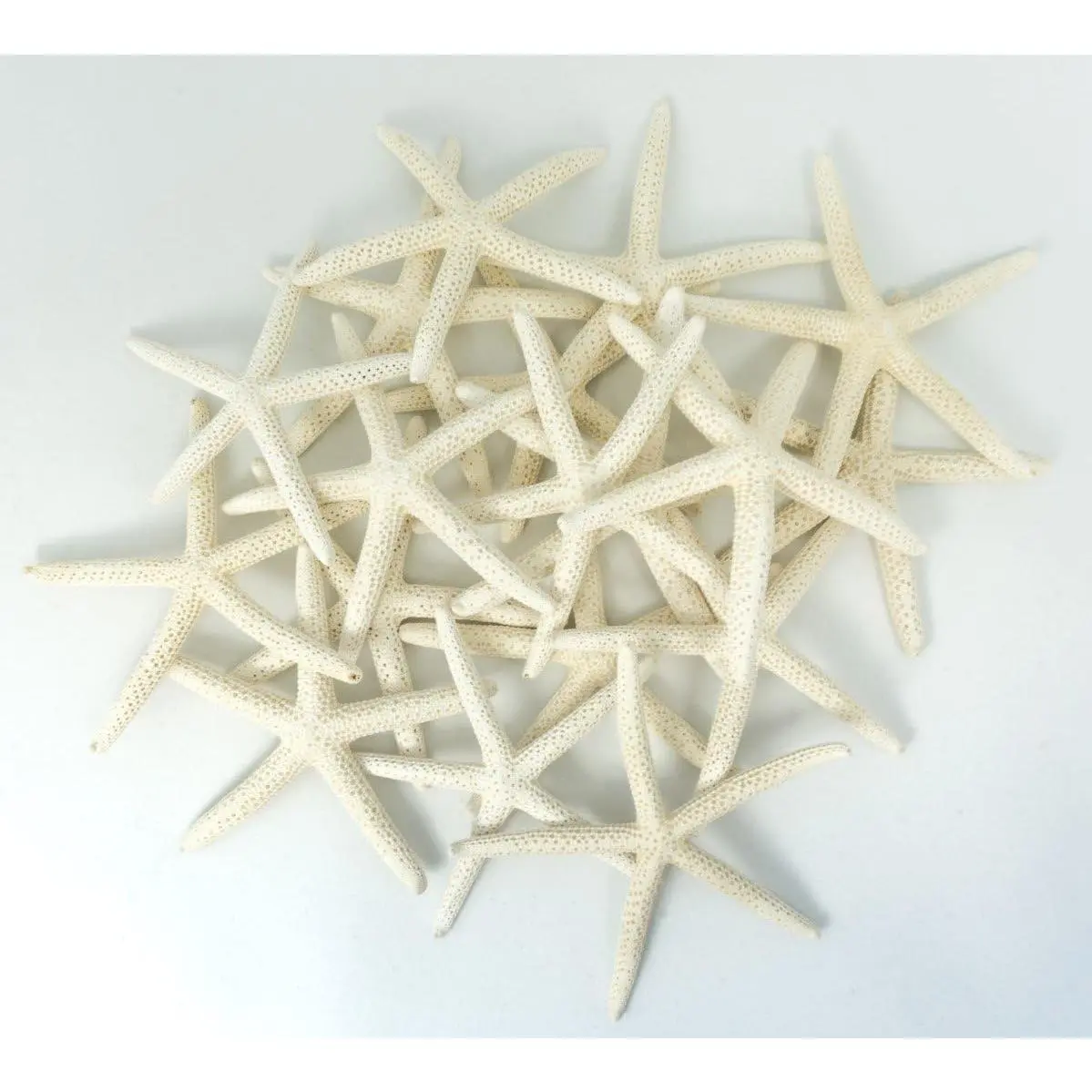Starfish Decor -  Fish for Craft - 18pk Real 3-4" White Sea Stars - Beach Wedding Decor - Coastal Party Decorations - Seashell Decor
